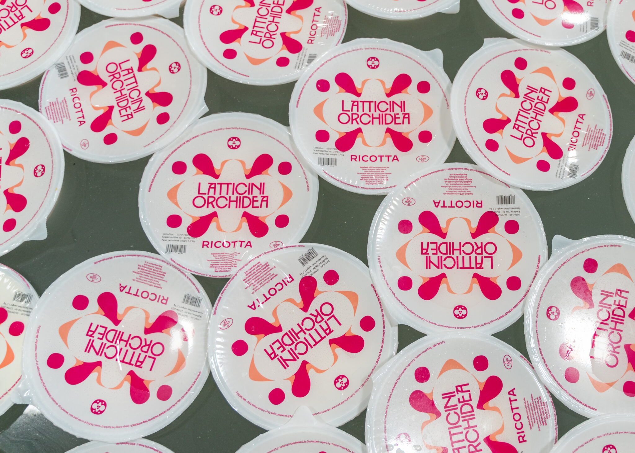 ricotta_latticini_orchidea